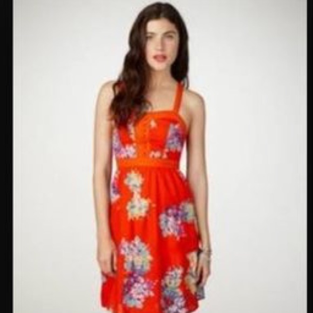 Dress - Picture 8 of 8